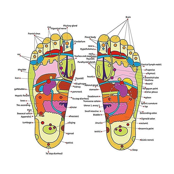 Acupressure Foot Relaxer Massager Slippers – Rejuvenate Your Feet & Boost Wellness