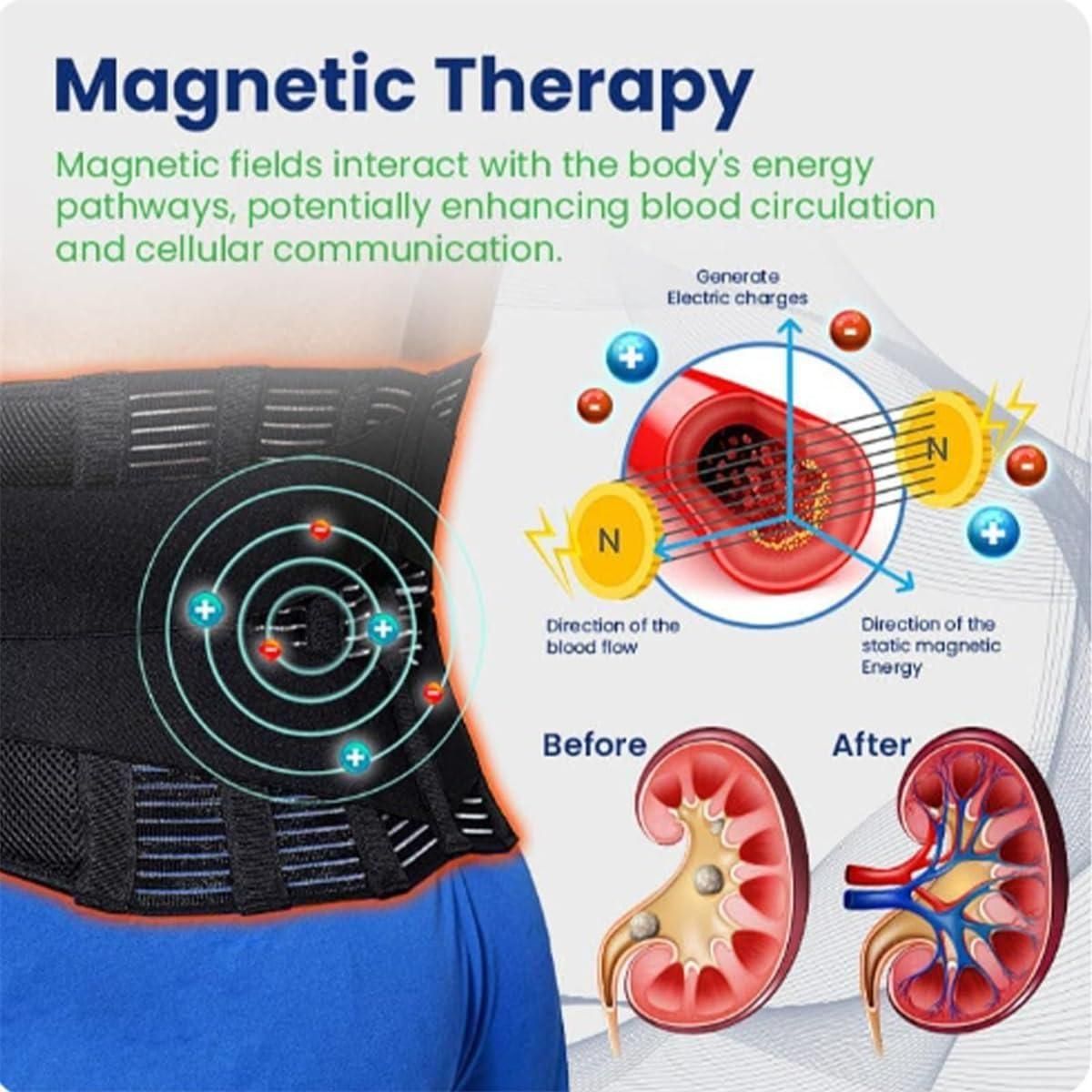 Acupressure Kidney Care Belt – Magnetic Therapy for Lumbar Support & Pain Relief